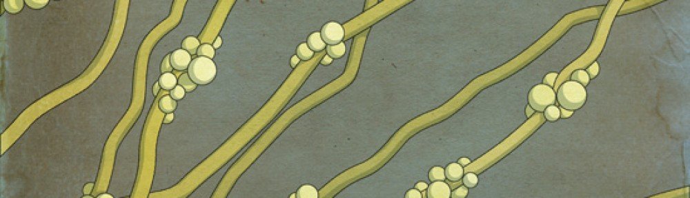 Candida Killer